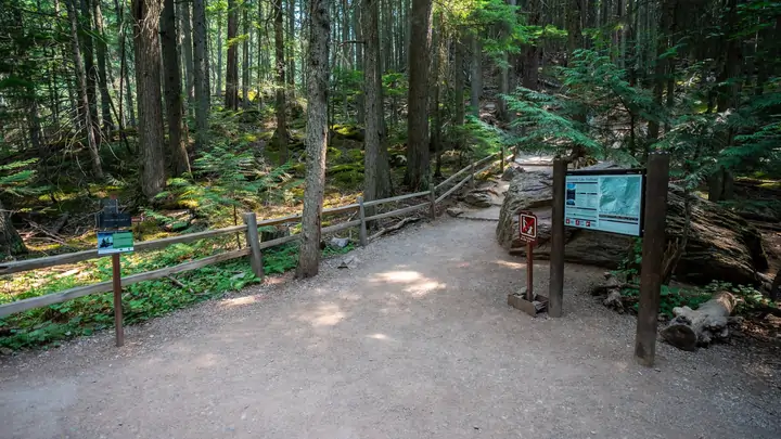 Hiker on a trail in Glacier National Park