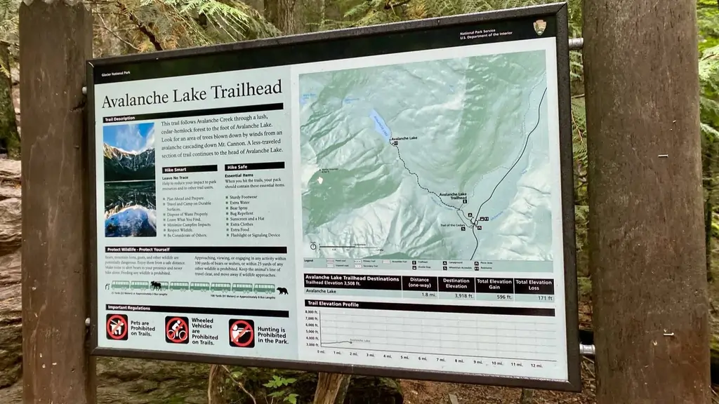 Avalanche lake Trailhead sign