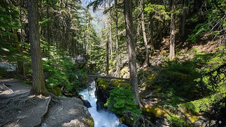 Turquoise waters of Avalanche Creek rushing through the narrow gorge on the Trail of the Cedars