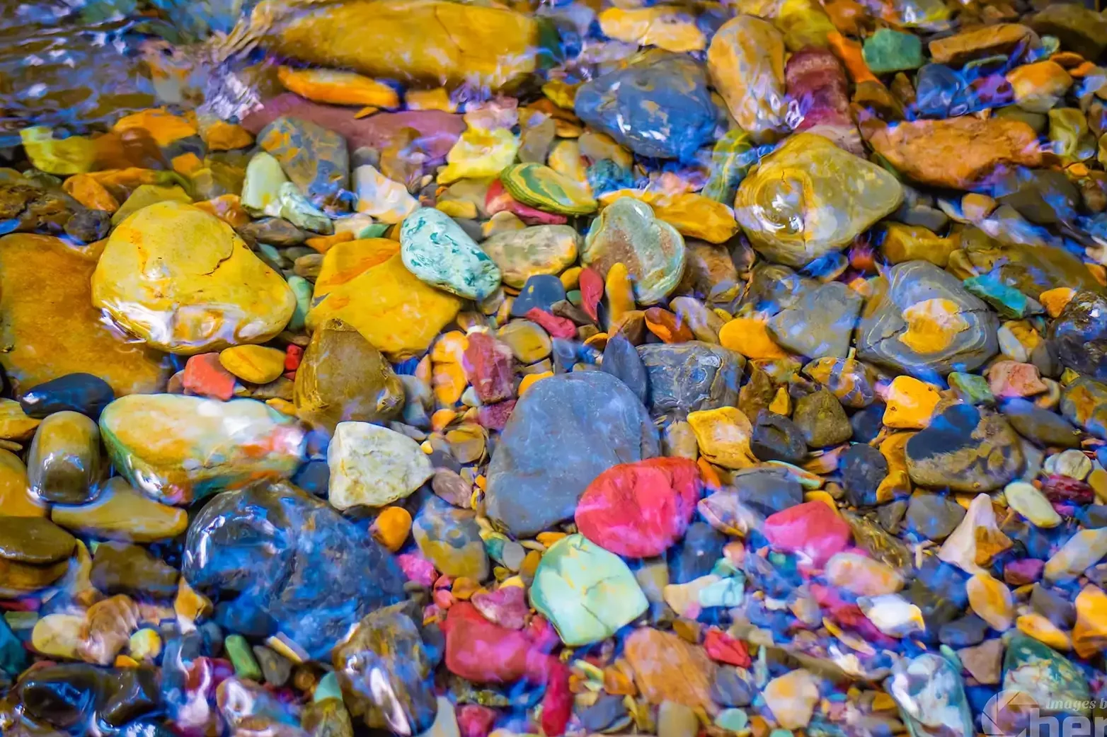 Rainbow Rocks scattered across the pebble beach at Lake McDonald — red, green, purple and orange argillite stones polished by glacial action