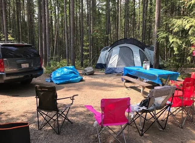 Forested campsites at Fish Creek Campground near Lake McDonald in Glacier National Park