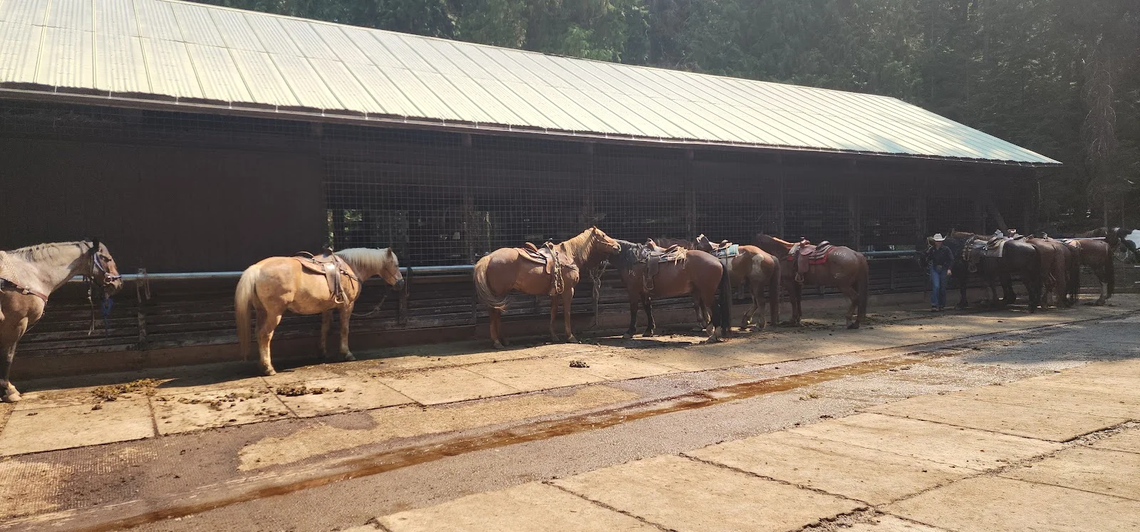 Lake McDonald Horse Stable