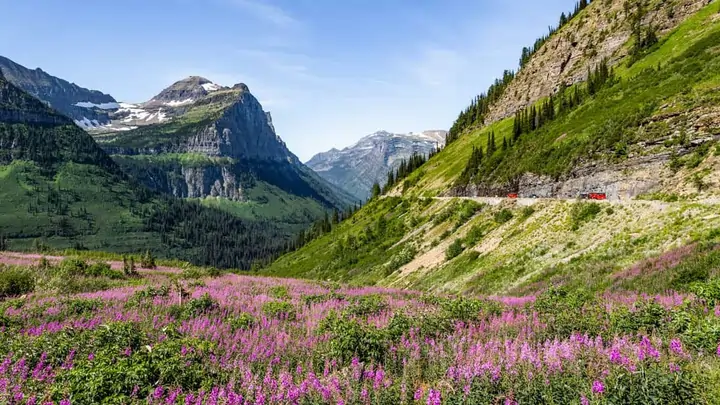 Going-to-the-Sun Road in spring with snowmelt and fresh green along the route into Glacier National Park